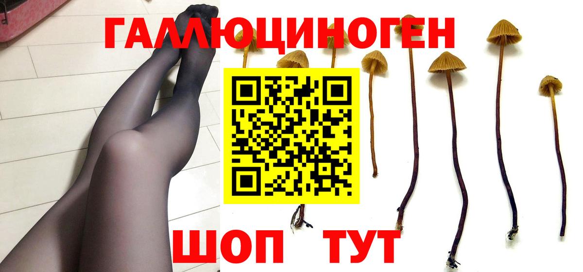 Псилоцибиновые грибы Psilocybe  Вход с VPN  Миасс  купить наркотик  Псилоцибиновые грибы ЛСД 